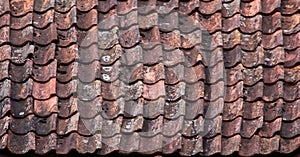 Mossy Tile roof texture