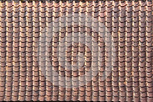 Mossy Tile roof texture