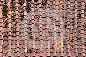 Mossy Tile roof texture