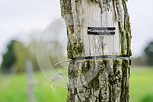 A Mossy Vineyard Post with a Cabernet Franc Label