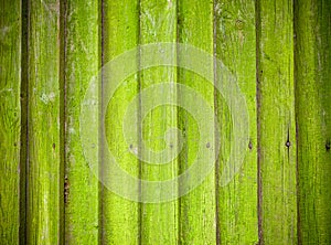 Mossy wooden background texture