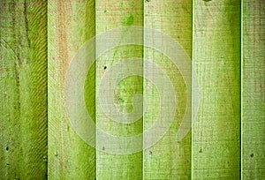 Mossy wooden background texture