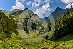 Lush green and colorful natural view from Valea Rea Bad Valley, Fagaras Mountain photo