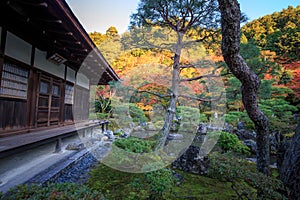 Most beautiful place of Art Zen Garden