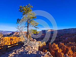 Most beautiful places on Earth - Bryce Canyon National Park in Utah