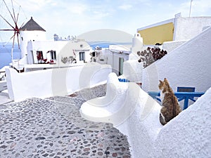 The most beautiful places in Greece on the island of Santorini
