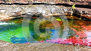 The most colorful and unique river in the world Canio Cristales rainbow river photo
