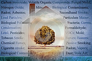 The most common dangerous domestic pollutants we can find in our photo