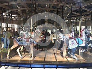 The Herschel-Spillman Carousel at the Koret Children`s Playground Golden Gate Park 4