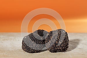 The most perfumed of mushrooms, the French black truffle