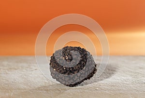 The most perfumed of mushrooms, the French black truffle photo