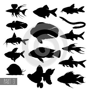 Most popular aquarium fish silhouettes