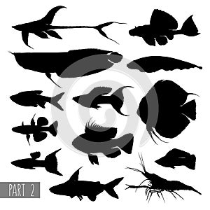 Most popular aquarium fish silhouettes