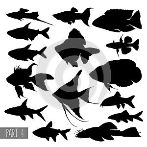 Most popular aquarium fish silhouettes