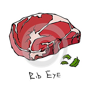 Most Popular Steak Rib Eye. Beef Cut. Meat Guide for Butcher Shop or Steak House Restaurant Menu. Hand Drawn Illustration. Savoyar