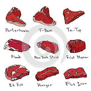 Most Popular Steak Types Set. Beef Cuts. Top Meat Guide for Butcher Shop or Steak House Restaurant Menu. Hand Drawn Illustration.