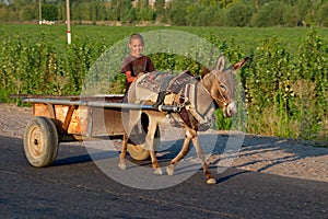 The most simple transport in the countries of Central Asia