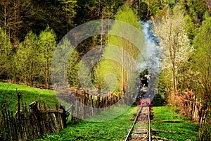Steam train named Mocanita in Vaser Valley, Maramures, Romania. in spring time photo