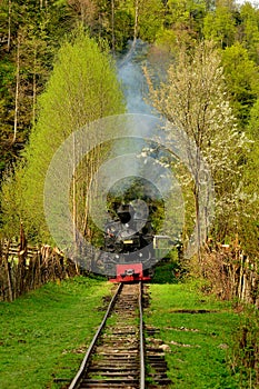 Steam train named Mocanita in Vaser Valley, Maramures, Romania. in spring time photo