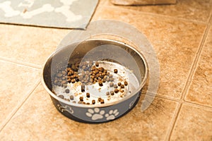 Mostly empty dog food bowl on kitchen floor.