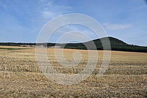 mostly harvestedwheat fields with a volcano hill behind