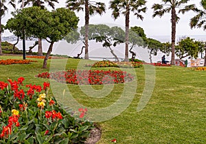 Mostly red flowers in Parque del Amor, Miraflores, Peru