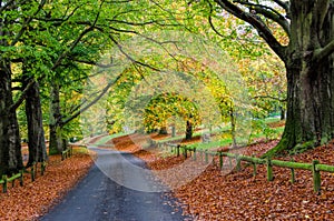 Mote Park in Autumn