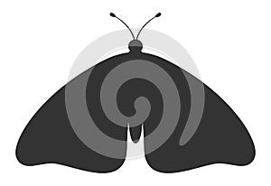 Moth black silhouette. Shape of moth or butterfly wings, front view