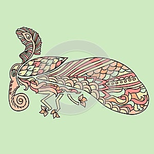 Moth with ethnic floral ornaments. Zentagle pattern. Vector doodle illustration. Night-fly moth.