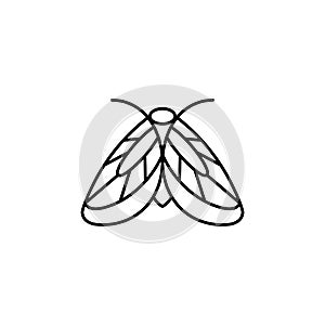 Moth icon Outlines in a minimalist style. Vector Linear Insect Logos for beauty salons, manicure, massage, Spa