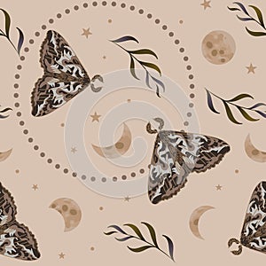 Moth, phases of the moon and stars, herbs. Seamless pattern, vector illustration in ethnic style. In earthy tones. magic