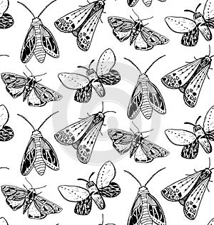 Moth seamless pattern. Hand drawn illustration of flying insects. Black and white sketches.