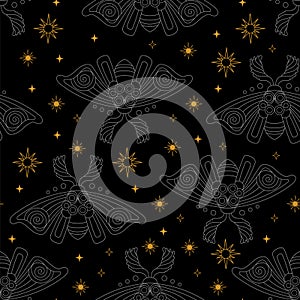 Moth and stars seamless pattern