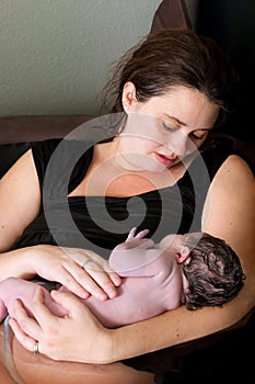 Mother Adores Her Newborn Baby photo