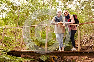 Mother and adult daughter on a bridge in a forest, to camera