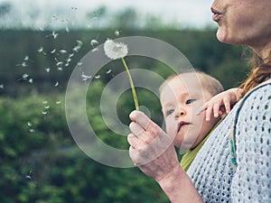 Mother with baby blowing dandelion