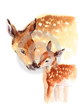 Mother and Baby Deer Watercolor Love Family Hand Painted Mother`s Day Summer Illustration isolated on white background