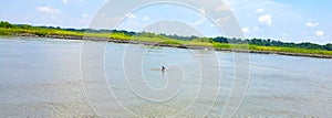 Mother and Baby Dolphin swimming in Savannah Georgia waters