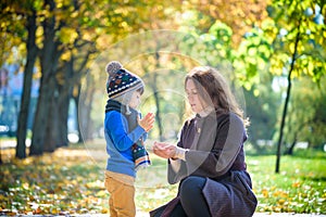 Mother and baby play in autumn park. Parent and child walk in the forest on a sunny fall day. Children playing outdoors with