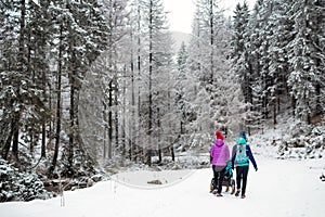 Mother with baby stroller enjoying motherhood in winter forest