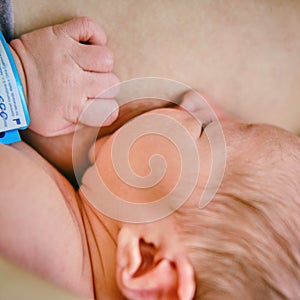 A mother is breastfeeding a newborn baby with a maternity hospital bracelet on her arm. A newly born child in the clinic in the