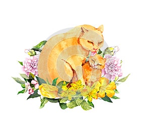 Mother cat licking her child kitten. Mother`s day card for mom with cute animals together in flowers. Watercolor