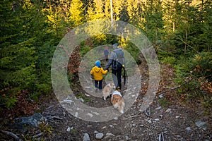 A mother with a child and a dog are walking along the mountain hiking trail. Family spending time