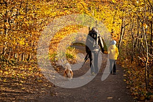 A mother with a child and a dog are walking along the mountain hiking trail. Family spending time