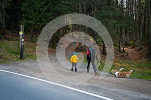 A mother with a child and a dog are walking along the mountain hiking trail. Family spending time
