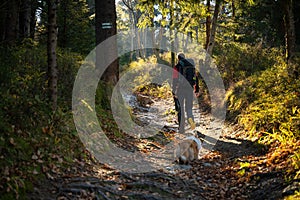 A mother with a child and a dog are walking along the mountain hiking trail. Family spending time