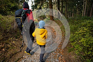 A mother with a child and a dog are walking along the mountain hiking trail. Family spending time