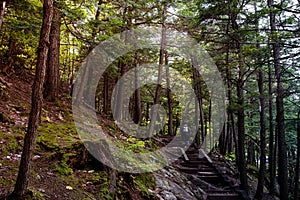 Mother and child going upsteps in forest in autumn in park, Seen from behind. Concepts of path, direction, support, hope. Gatineau