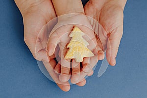 mother and child holding a Christmas tree cookie in hands, blue paper background