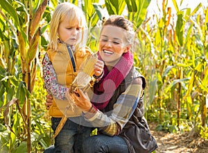 Mother and child shucking corn in cornfield